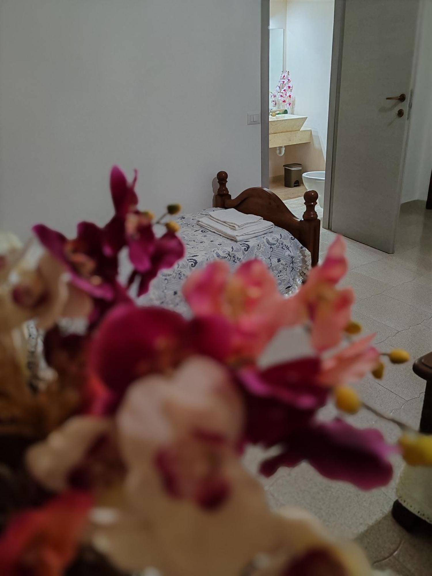 Zia Mia B&B أولبيا المظهر الخارجي الصورة