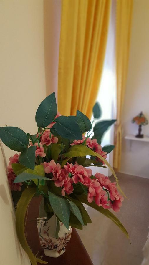 Zia Mia B&B أولبيا المظهر الخارجي الصورة